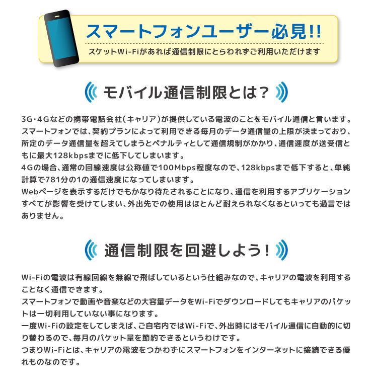 スケサポ|スケットサービス