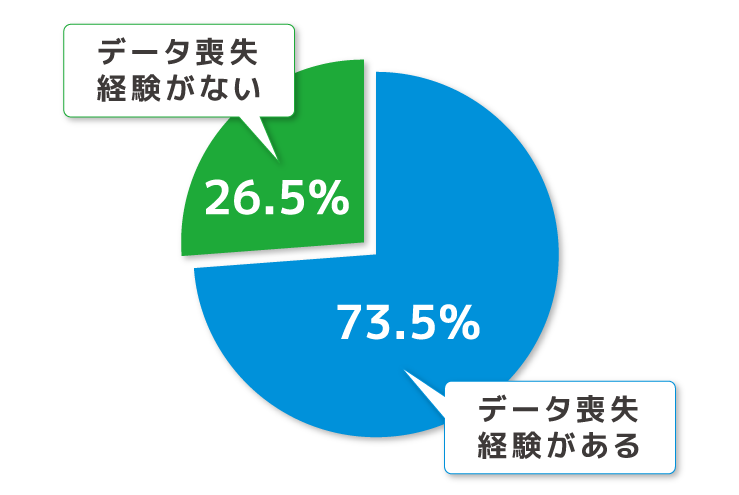 スケサポ|スケットサービス