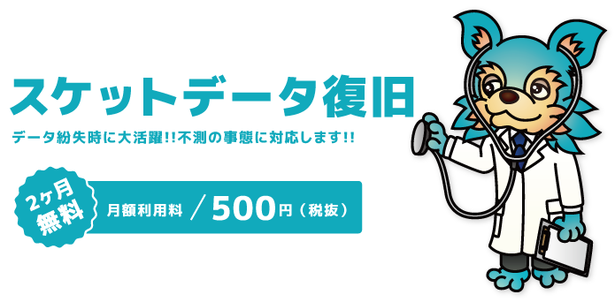 スケサポ|スケットサービス