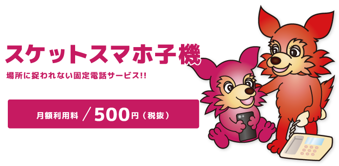 スケサポ|スケットサービス